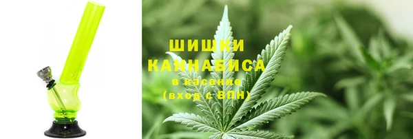 СК Зеленодольск