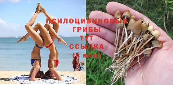 мяу мяу мука Зерноград