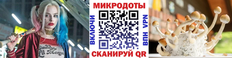 Псилоцибиновые грибы GOLDEN TEACHER  Купить  Горнозаводск 